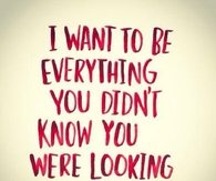 I want to be your everything