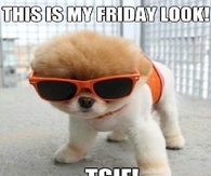 my friday look