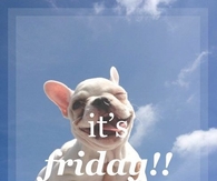 It's Friday