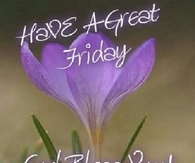 Have a great Friday