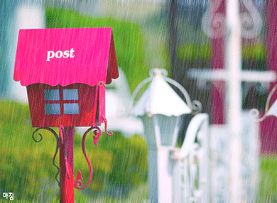 Sunny Rain