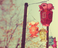 Fall Lanterns