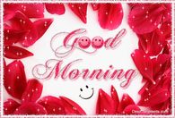 Good Morning