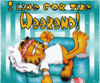 I live for the weekend