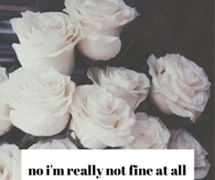 Im not fine at all