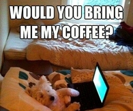 Coffee with you
