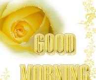 Good Morning