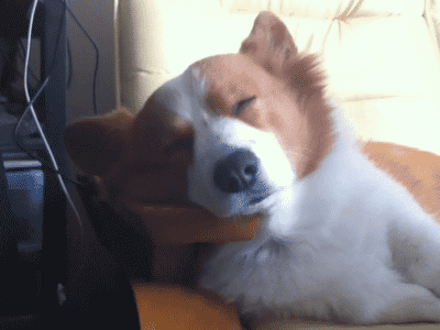 When I fall asleep on the bus and miss my stop