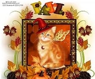 Fall Cat