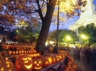 Fall Festival