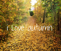 I love autumn