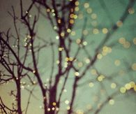 Fall lights