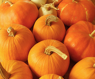 Pumpkins