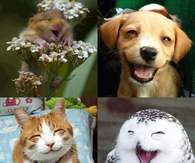 Happy