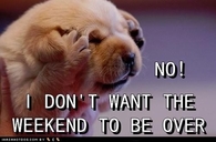 I don't want the weekend to be over