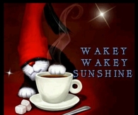 wakey wakey sunshine