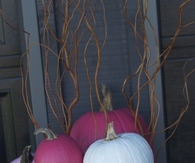 Pink Pumpkins