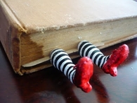 Ruby slippers
