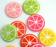 Citrus Coasters