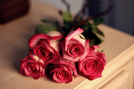 Roses
