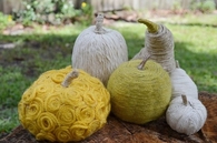 Yarn, Pumpkins & Gourds