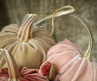 Velvet Pumpkins