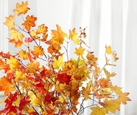 Branches of Leaves in Clear Glass Vase