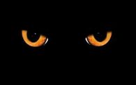 Cat's Eyes