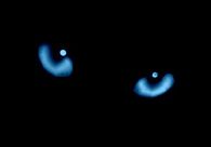 Glowing Cat's Eyes
