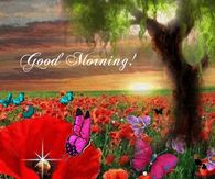 Good Morning