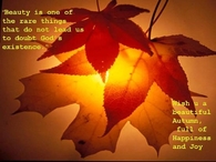 Wish you a beautiful Autumn full of Happiness and Joy