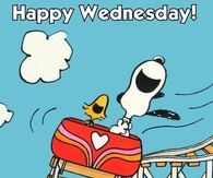 Happy Wednesday