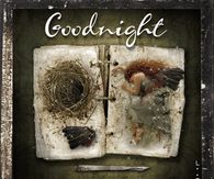 Good Night