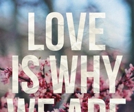 love is why we are here
