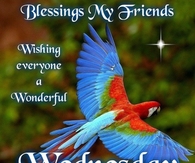 Have a blessed Wednesday