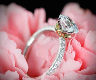 Will You Marry ME