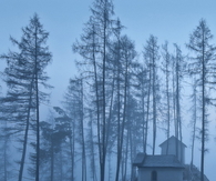 House on a hill