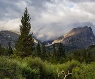 Elk at Storm Pass
