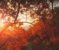 Autumn sunshine