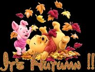 It's Autumn