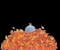 Happy Fall Ya'll