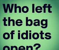 the bag of idiots