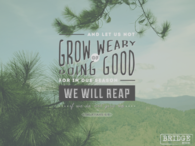 Let us not grow weary