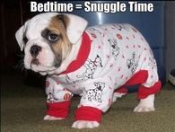 Snuggle Times