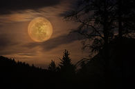 Eerie full moon
