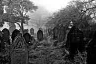 Spooky Graveyard