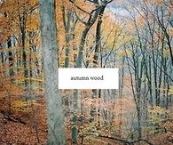 Autumn wood