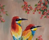 Paradise birds