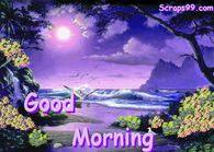 Good Morning