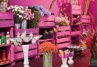 Pink Garden Room